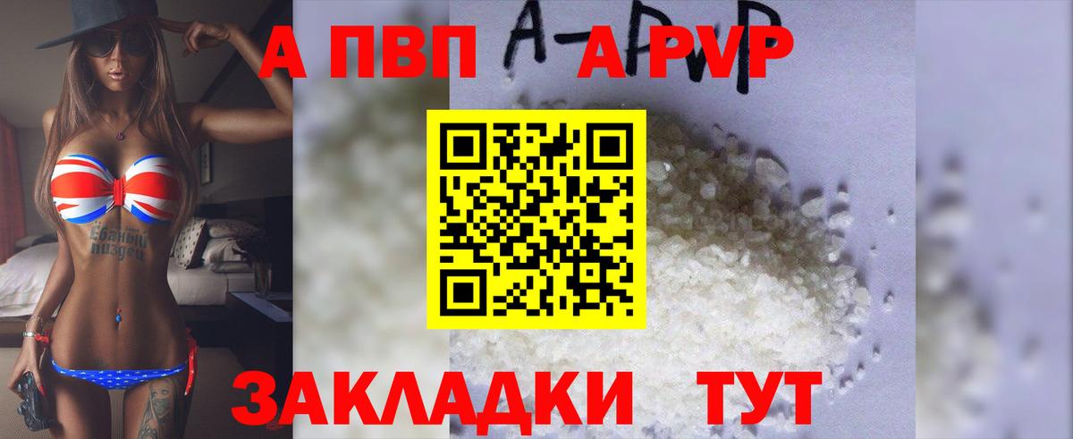 Alfa_PVP СК КРИС Черняховск