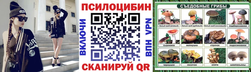 мега как зайти  Черняховск  Псилоцибиновые грибы прущие грибы 
