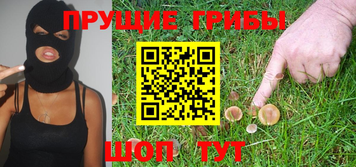 Псилоцибиновые грибы Magic Shrooms Черняховск