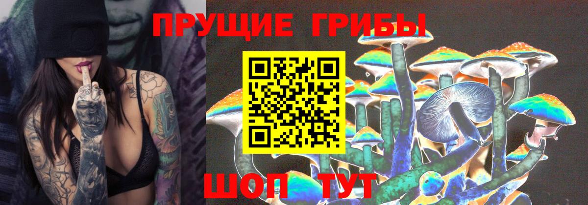 Псилоцибиновые грибы мухоморы  Черняховск 